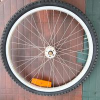 Ruota Anteriore MTB 26