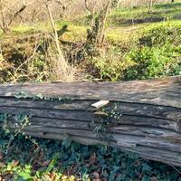 Tavolame in legno di noci