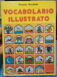 Vocabolario  illustrato