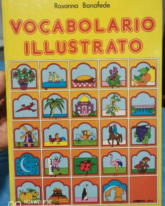 Vocabolario  illustrato