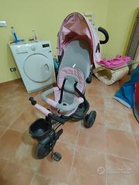 Triciclo evolutivo