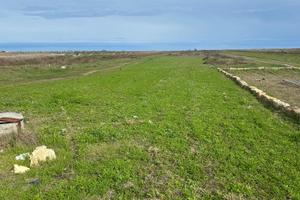 Terreno agricolo saldo