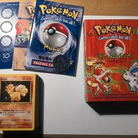 Pokemon Brushfire set 1999