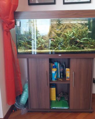 Aquario JUWEL RIO180