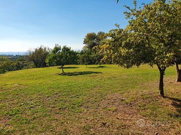 Terreno agricolo vista lago