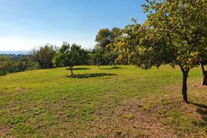 Terreno agricolo vista lago