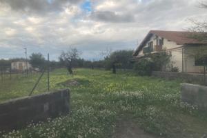 Terreno 500mq Motta a Anastasia