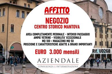Immobile di 100 m² con 1 locale a Mantova