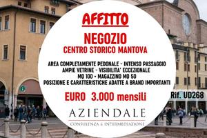 Immobile di 100 m² con 1 locale a Mantova