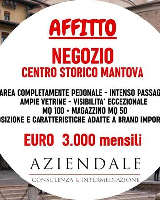 Immobile di 100 m² con 1 locale a Mantova
