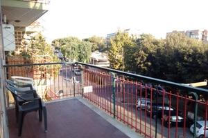 Ladispoli in provincia di roma