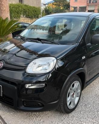 Fiat Panda 1.0 FireFly S&S Hybrid 2024