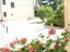 Immagine 24