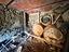 Immagine 19