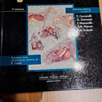 libro veterinaria 