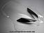 Immagine 9