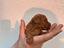 Immagine 13
