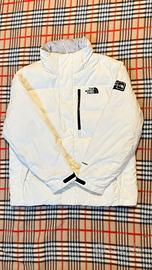 The north face jacket