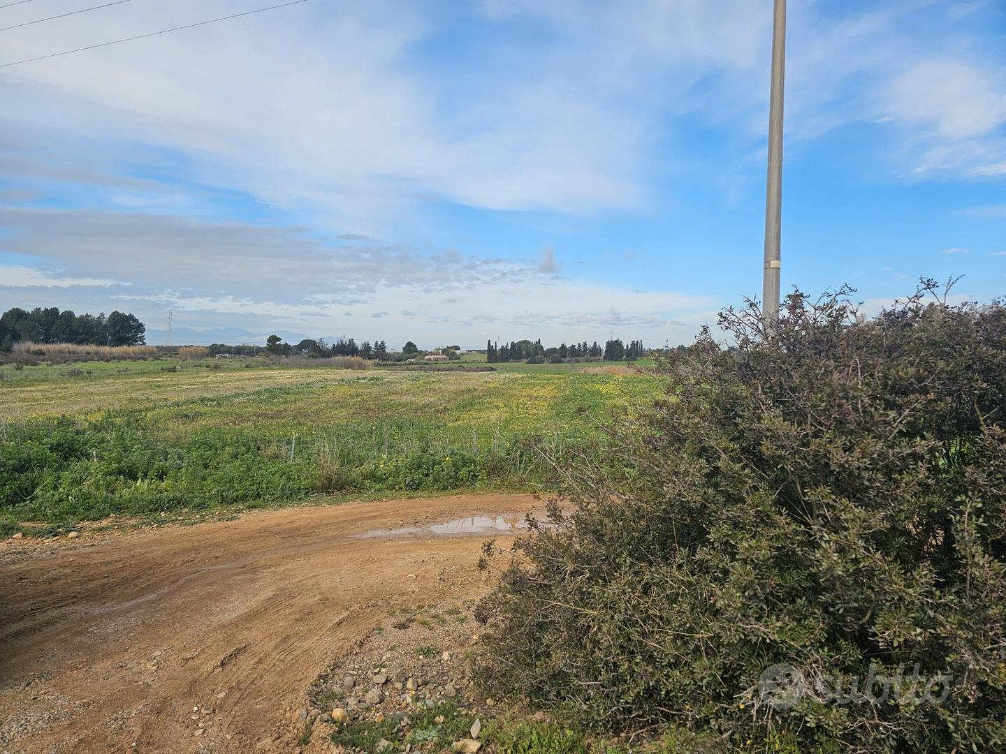 Terreno Agricolo - Vista 2