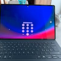 Samsung galaxy tab S9 ultra 256 schermo 14.6