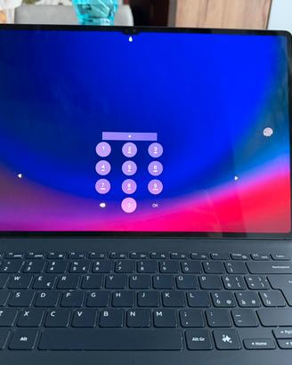 Samsung galaxy tab S9 ultra 256 schermo 14.6