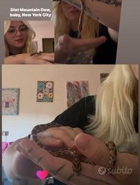 Serpente del grano + teca + trasportino