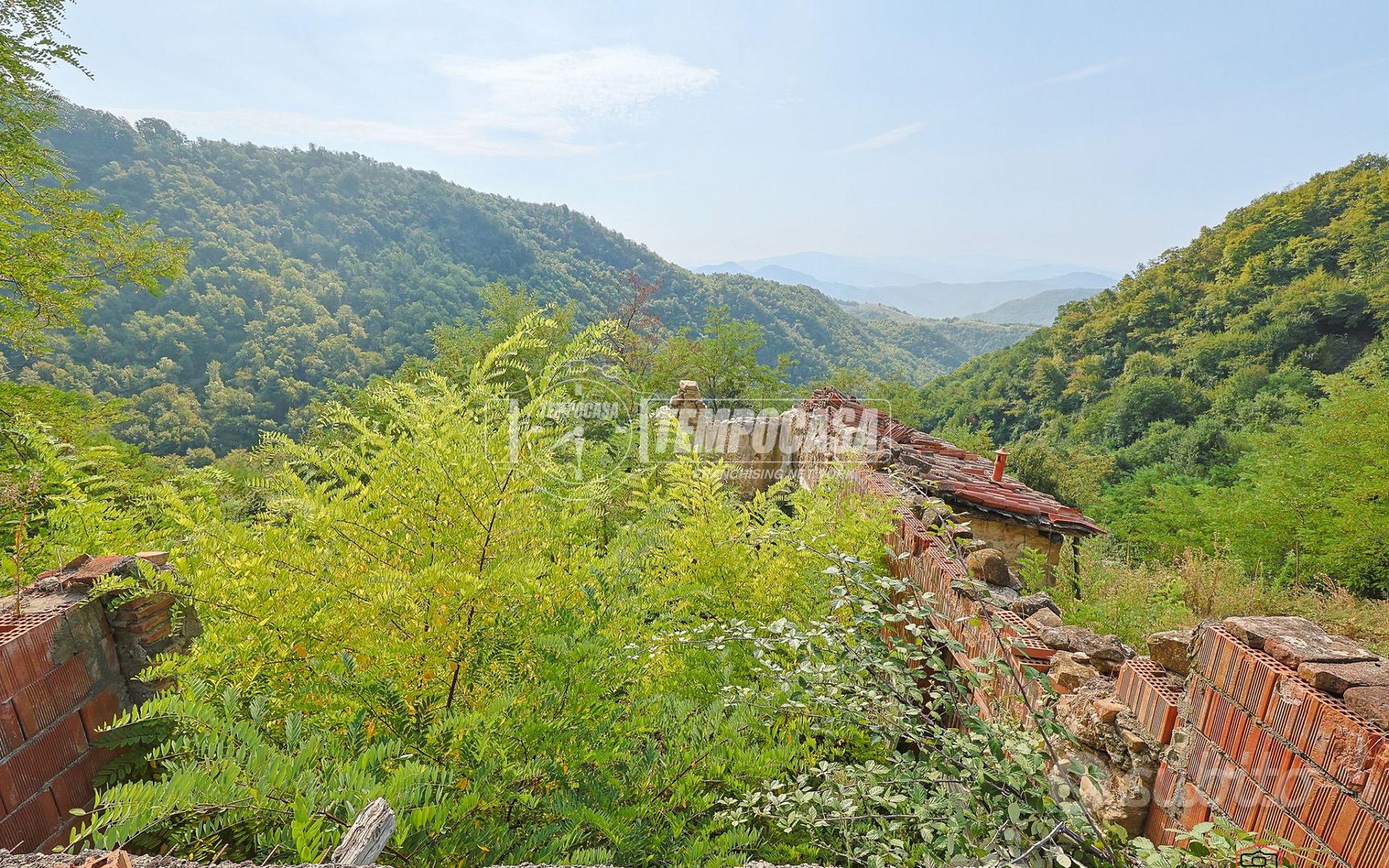 RUSTICO DA RICOSTRUIRE CON 11 ETTARI DI TERRENO - Vista 3