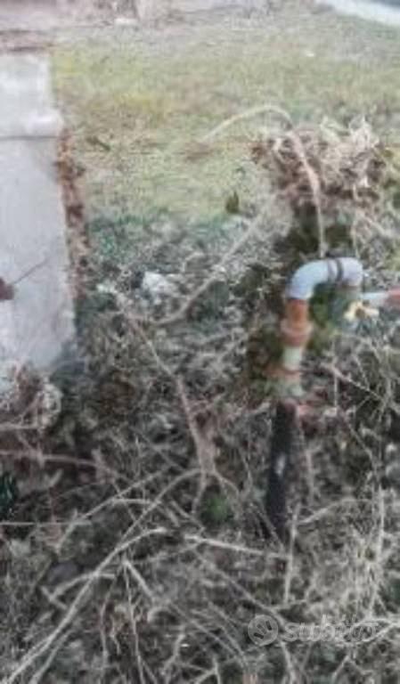 Immobile in asta di 3600 m² a Scorzè - Vista 5