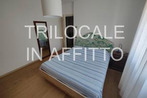 Trilocale arredato libero