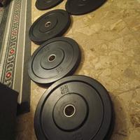 DISCHI BUMPER OLIMPIONICI FORO 50 PALESTRA GYM