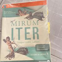 Mirum ITER