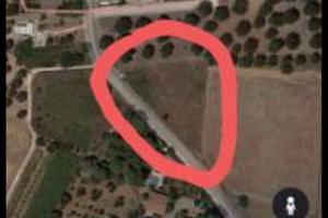 Terreno a pulsano prov. Di Taranto