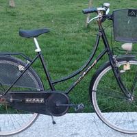 Delma Olandesina 26 pollici 