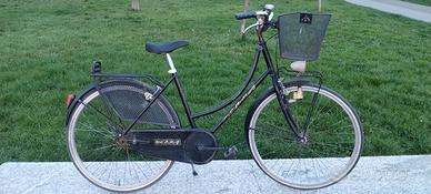 Delma Olandesina 26 pollici 