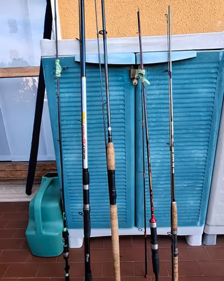 canne da pesca spinning 