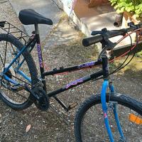 Mountain bike