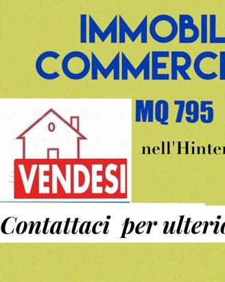 287/22 Mura di IMMOBILE COMMERCIALE di mq 795