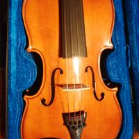 Violino 4/4