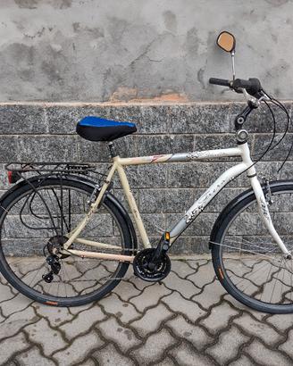 bicicletta da uomo frera.