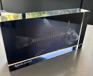 Fermacarte in vetro con incisione 3D laser