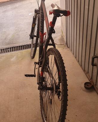 BICI TORPADO