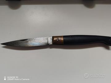 Pattada CONAZ 