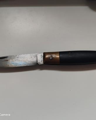 Pattada CONAZ 