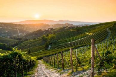 Immobile di 130000 m² con più di 5 locali a Moasca