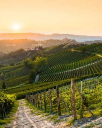 Immobile di 130000 m² con più di 5 locali a Moasca