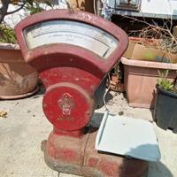 bilancia berkel mod F