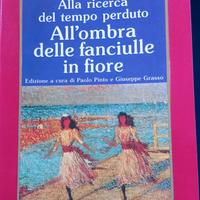 All'ombra delle fanciulle in fiore