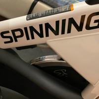 Spinn Bike professionale precor spinner ride