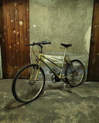 Bici città MTB 