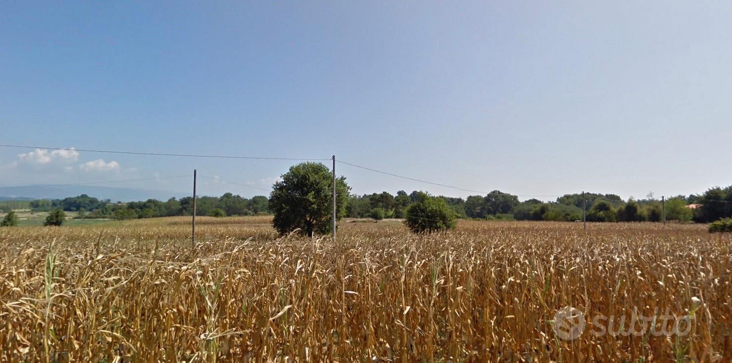 Terreni agricoli - Vista 4